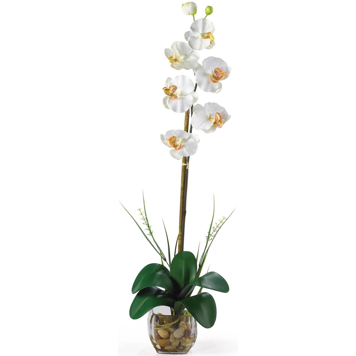 Single Phalaenopsis Liquid Illusion Silk Flower Arrangement – Cream