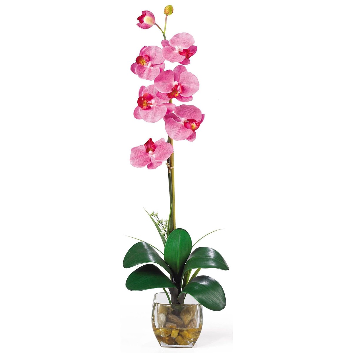 Single Phalaenopsis Liquid Illusion Silk Flower Arrangement – Dark Pink
