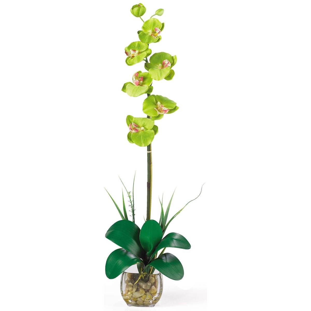 Single Phalaenopsis Liquid Illusion Silk Flower Arrangement – Green