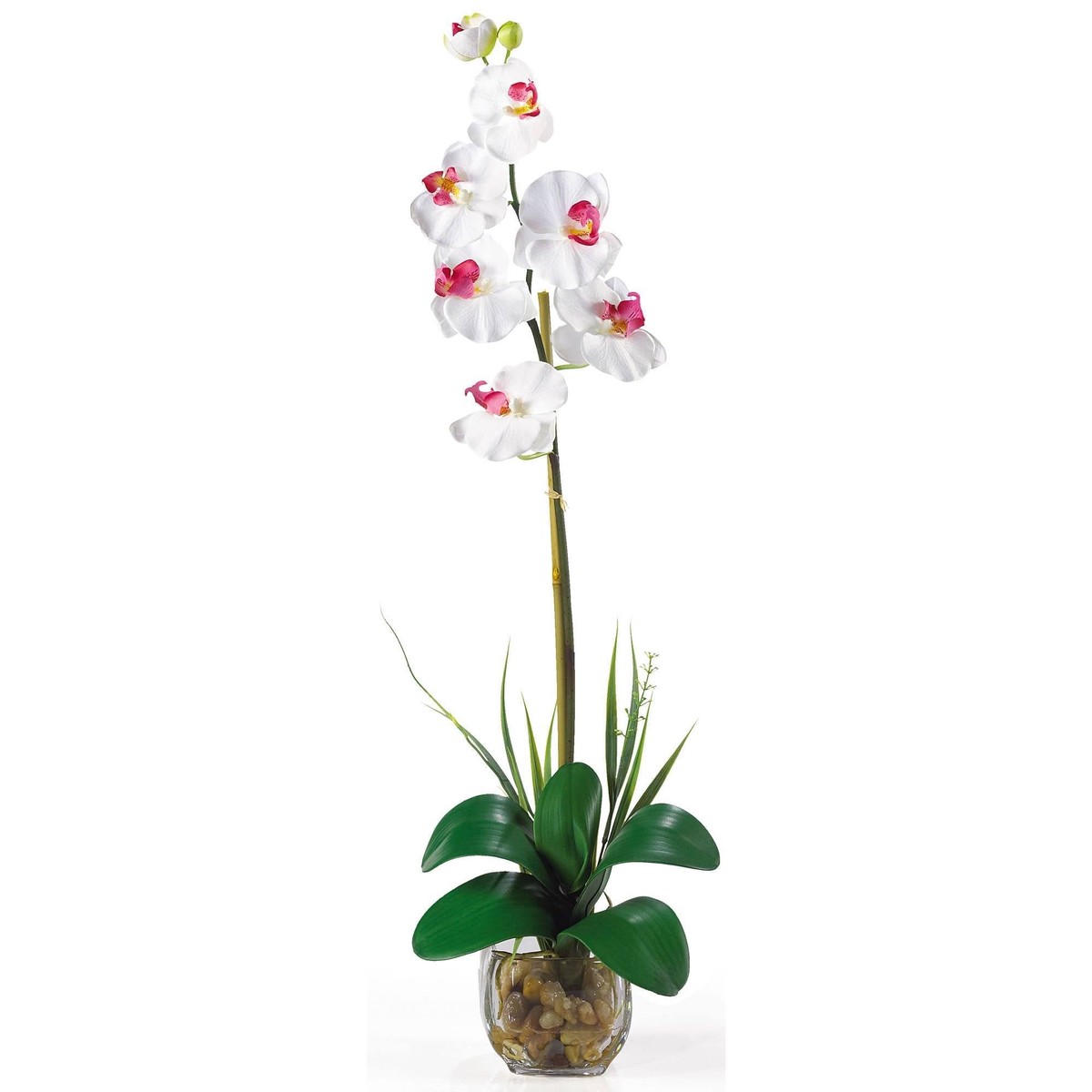 Single Phalaenopsis Liquid Illusion Silk Flower Arrangement – White