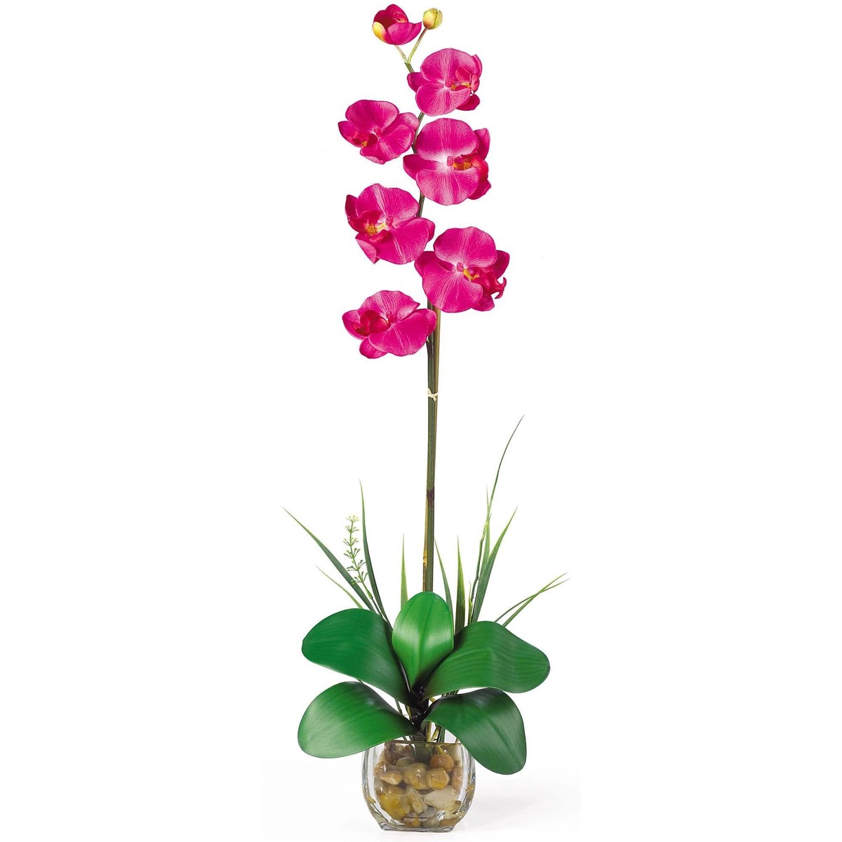 Single Phalaenopsis Liquid Illusion Silk Flower Arrangement – Beauty