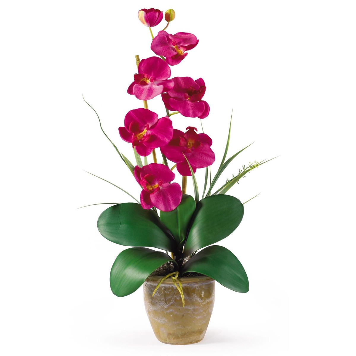 Single Stem Phalaenopsis Silk Orchid Arrangement – Beauty
