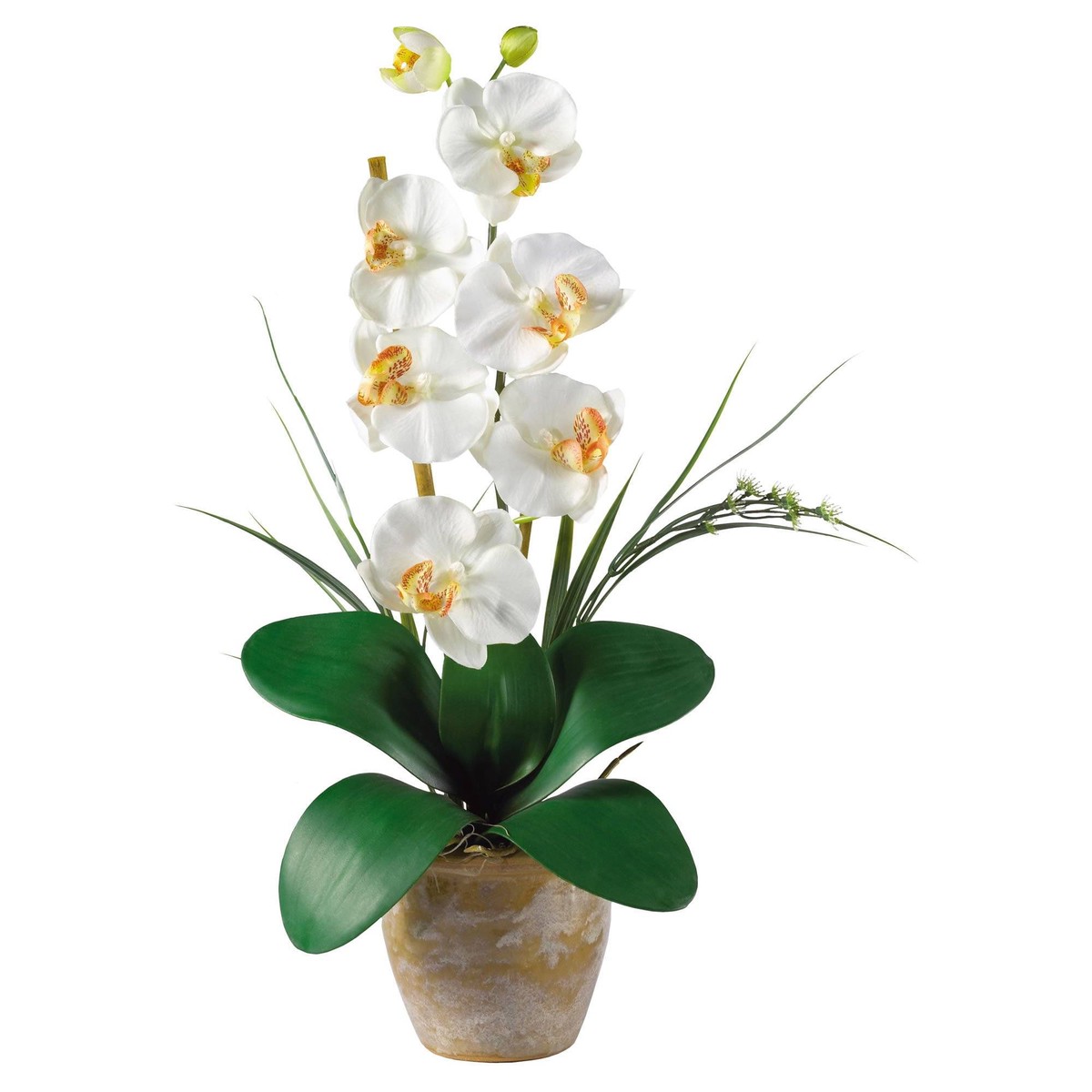Single Stem Phalaenopsis Silk Orchid Arrangement – Cream