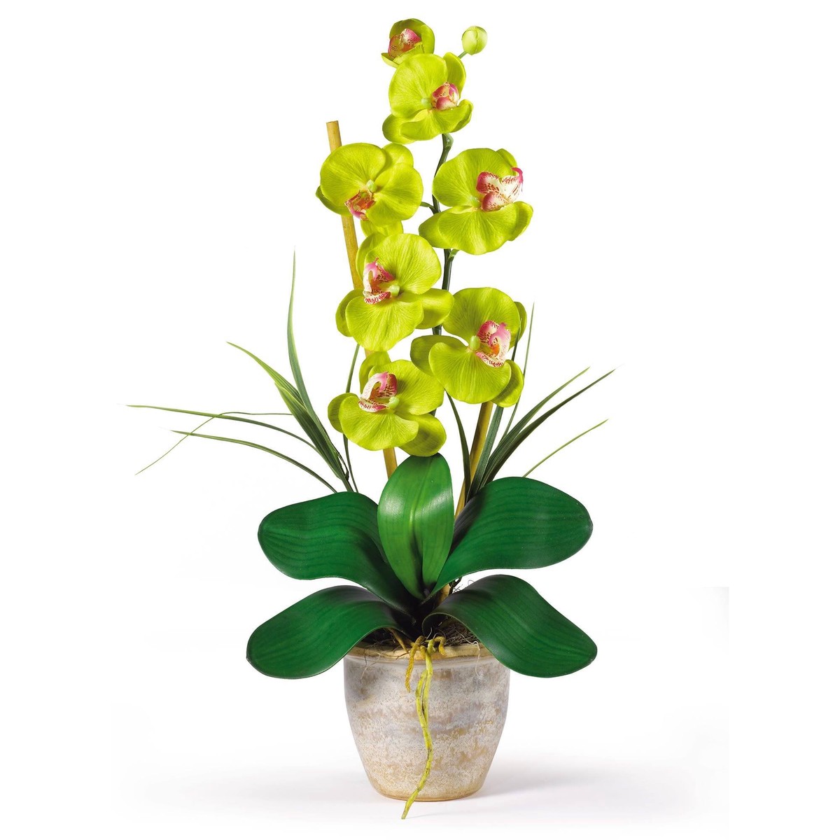Single Stem Phalaenopsis Silk Orchid Arrangement – Green