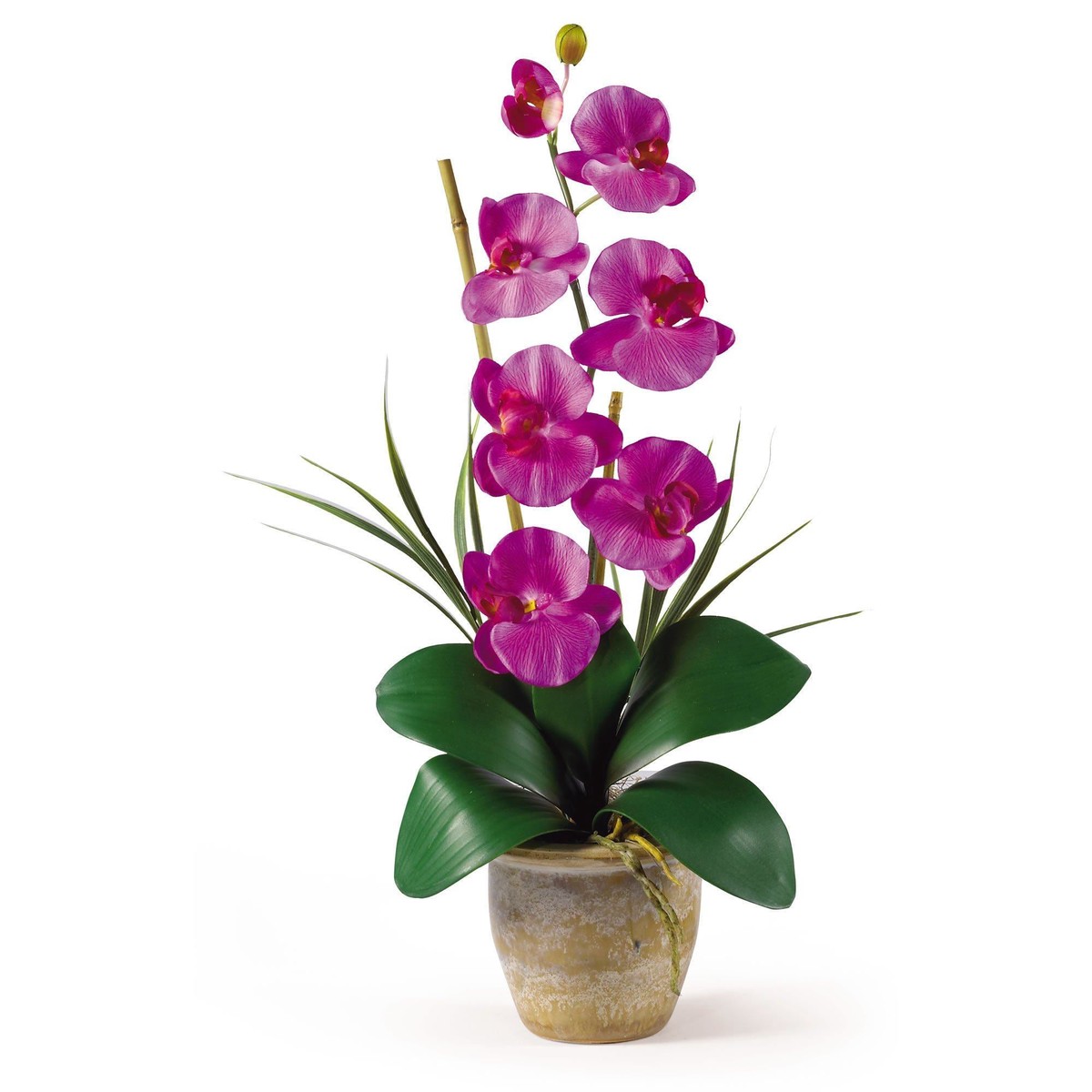 Single Stem Phalaenopsis Silk Orchid Arrangement – Orchid