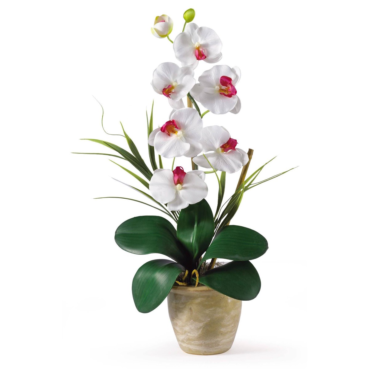 Single Stem Phalaenopsis Silk Orchid Arrangement – White