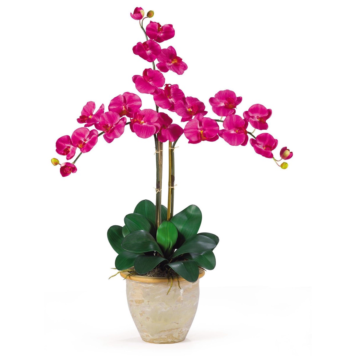Triple Stem Phalaenopsis Silk Orchid Arrangement – Beauty