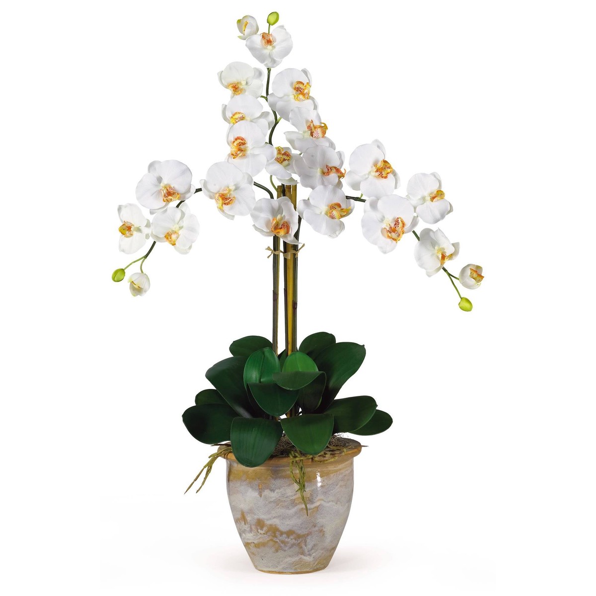 Triple Stem Phalaenopsis Silk Orchid Arrangement – Cream