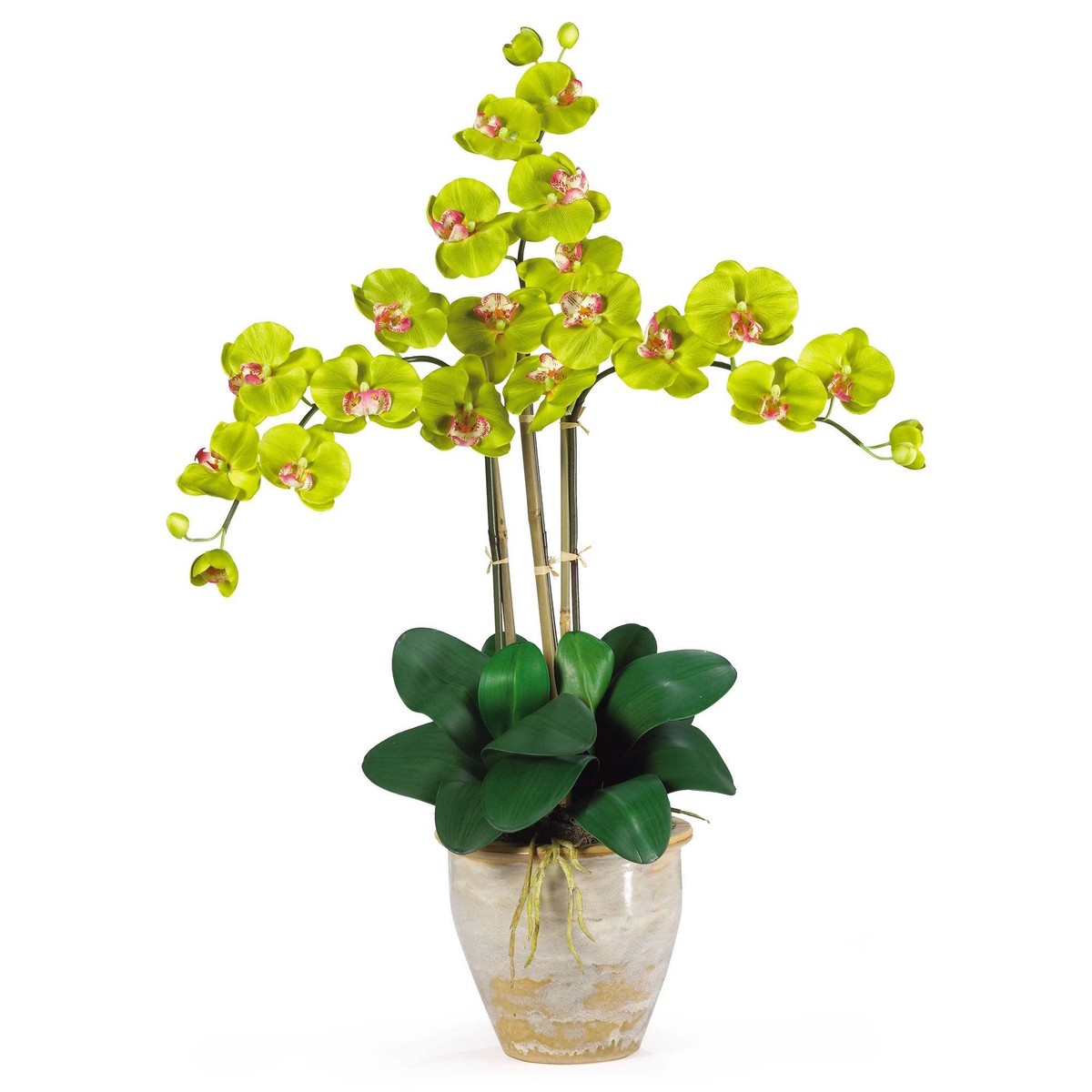 Triple Stem Phalaenopsis Silk Orchid Arrangement – Green