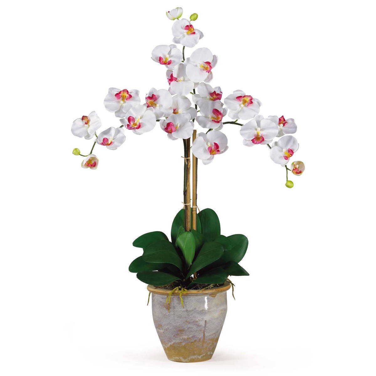 Triple Stem Phalaenopsis Silk Orchid Arrangement – White